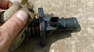 Заміна термостата на Skoda Octavia Tour A4 1.6