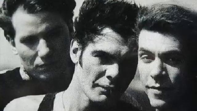 Lassie Come Home - Alphaville