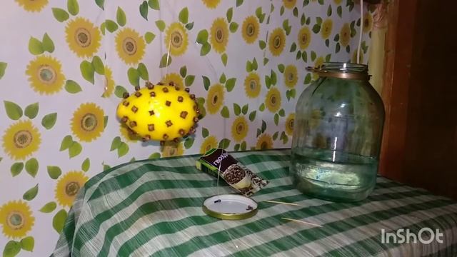 висельник на лимоне с гвоздикой смотреть онлайн