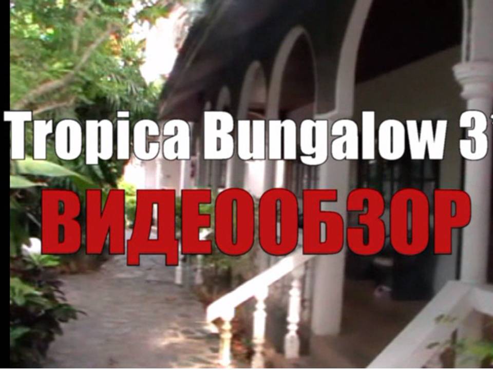 Tropica Bungalow 3*. Пхукет, Патонг Бич. Обзор отеля