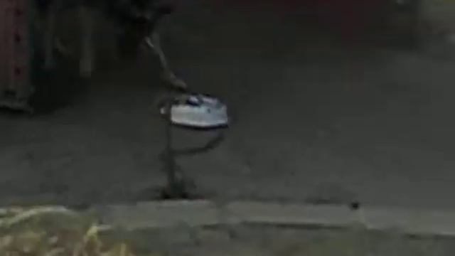 собака просто отпад как играет с миской смотреть онлайн