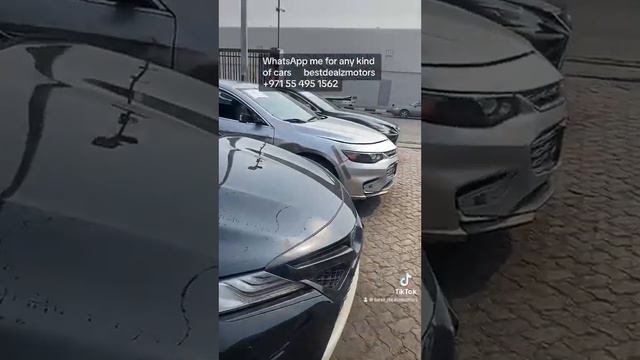 Car auction day смотреть онлайн