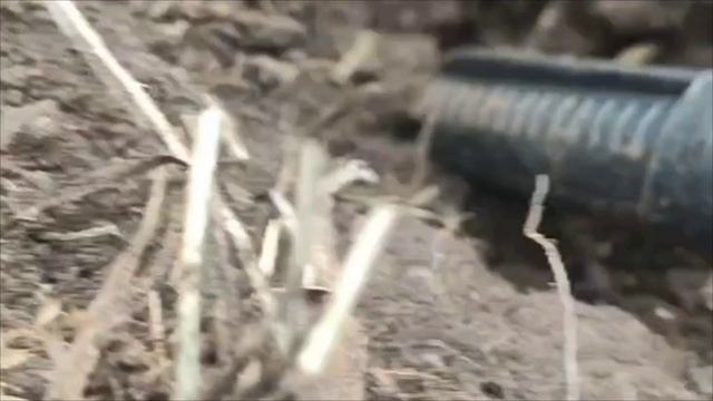 Коп 2022. Закладуха на селухе с Nokta&Makro Anfibio Multi