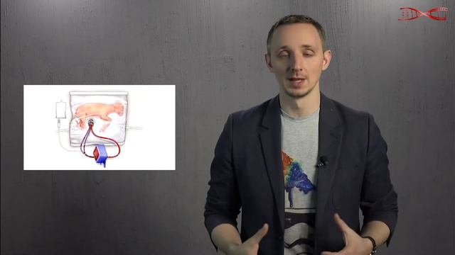 ИСКУССТВЕННАЯ МАТКА смотреть онлайн