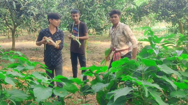 বাংলাদেশ ও পাকিস্তানের কর্মকান্ড // Bangla Funny Video // Junior Public 3.0 смотреть онлайн