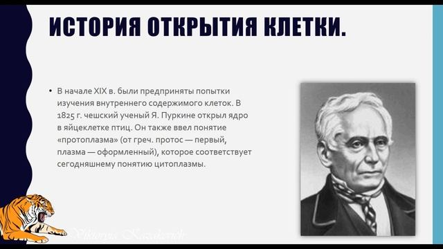 История открытия клетки. Создание клеточной теории смотреть онлайн