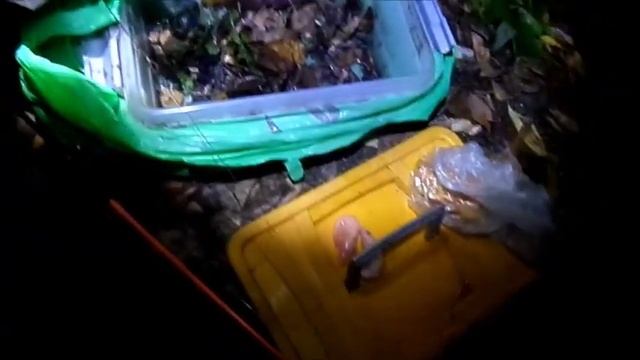 Рыбалка на налима в сентябре-Ловля налима осенью- Налим на спиннинг смотреть онлайн
