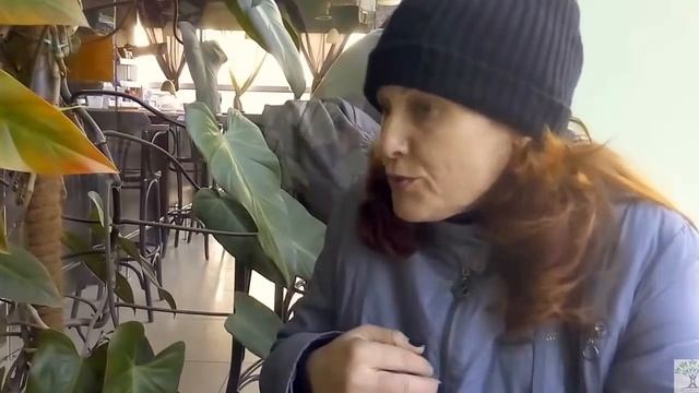 Результат применения Кораловой воды Core All и Коллоидного серебра ARGENT MAX! Кравцова Юлия смотреть онлайн