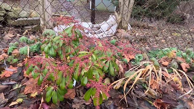 Last Tour of 2022 & Tips for Wacky Winter Weather ❄️☄️💧// Suburban Oasis смотреть онлайн