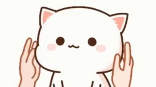 Cat gif смотреть онлайн