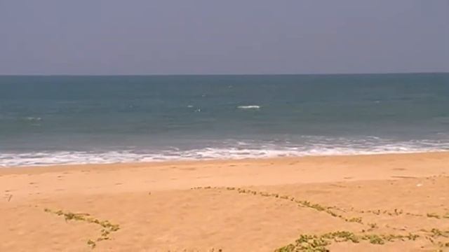 Sri Lanka, Balapitiya beach смотреть онлайн