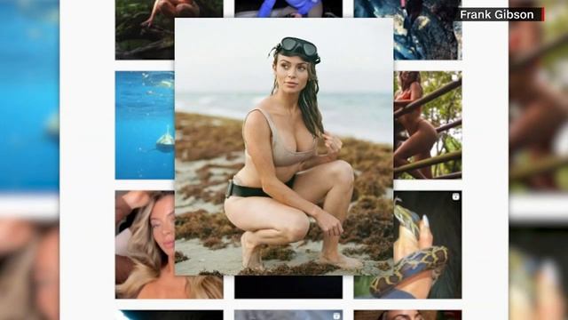 Scientists cut open Burmese python to find whole alligator inside смотреть онлайн