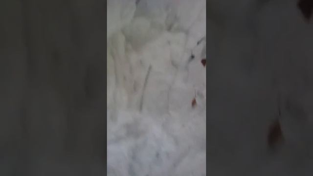 Как сделать дом из снега смотреть онлайн