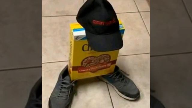 Я: не выкладываю видео уже 3 месяца, так же я под новый год: смотреть онлайн