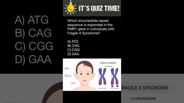 Which trinucleotide repeat sequence is expanded in the FMR1 gene in people with Fragile X Syndrome? смотреть онлайн