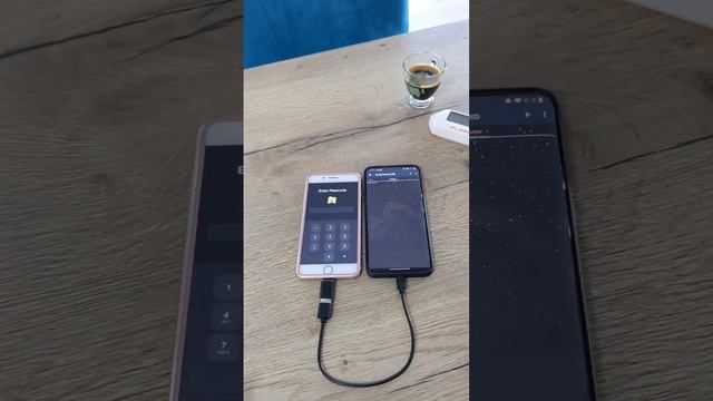 Guessing app's PIN using NetHunter as Rubber Ducky on iPhone смотреть онлайн
