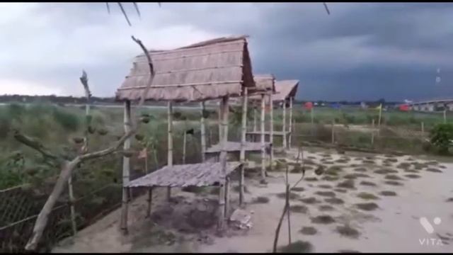 Mati food service & cafe смотреть онлайн