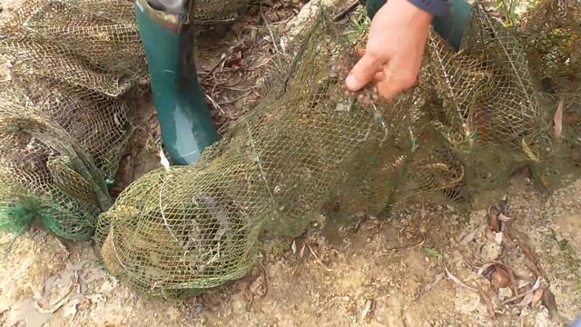 ВОТ ТАК ПРОВЕРИЛИ РАКОЛОВКИ! ШЕСТЬ ДНЕЙ СТОЯЛИ! смотреть онлайн