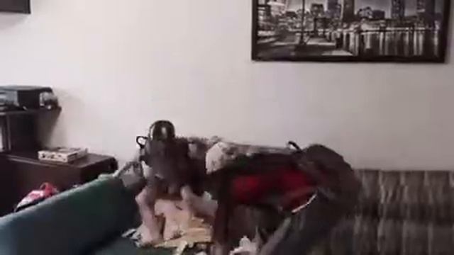 Вредные детки 1😂 смотреть онлайн