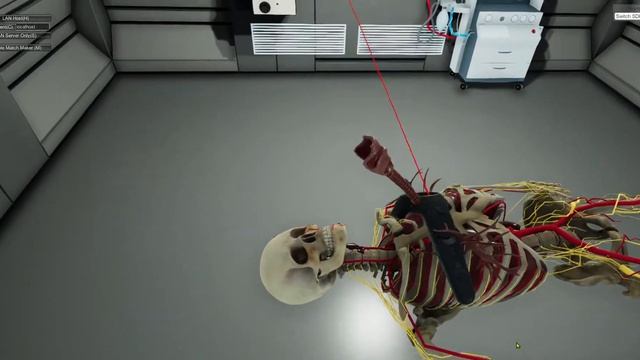 HappyMongo Human Anatomy VR