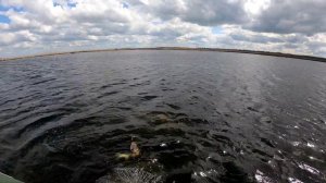 Веселовское водохранилище , ловля щуки весной.
