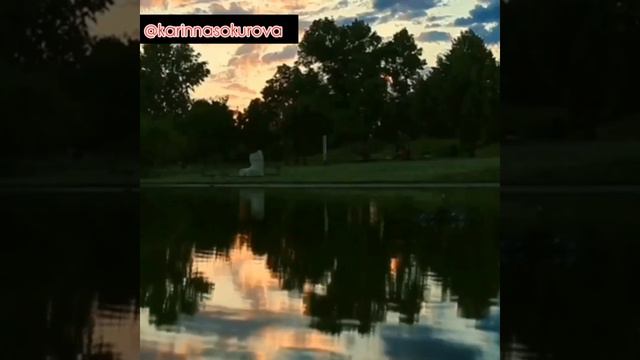 Она моя роза, мой никотин Khalif ,Robert ,Rruslan она моя роза мой, никотин🥀 кавер KarinNa смотреть онлайн