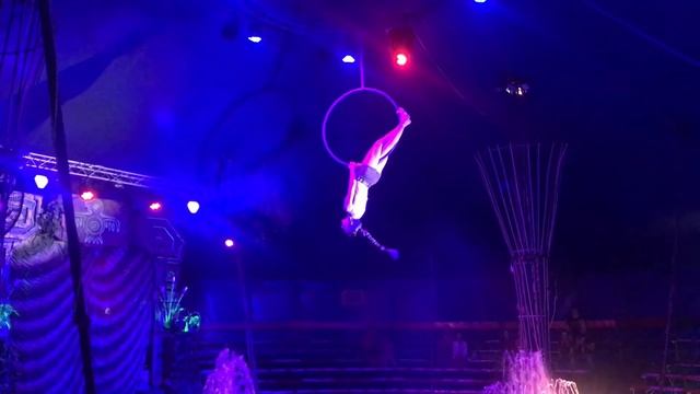 ИТОГИ ЛЕТА/ ЭКСПЕРИМЕНТ/ ПОКУПКИ В ДОМ/ ПЛОВ В МУЛЬТИВАРКЕ/ ЦИРК смотреть онлайн