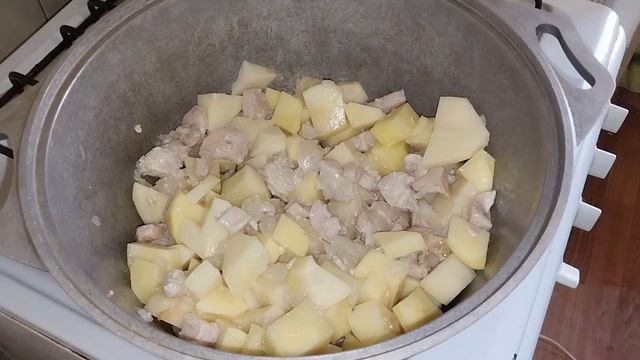 Грибные вдохновения