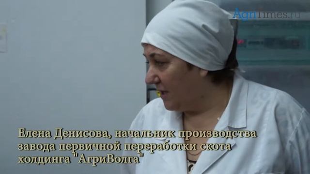 Органическое хозяйство «АгриВолга» смотреть онлайн