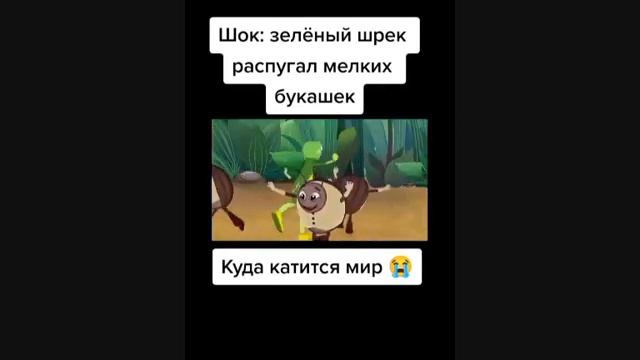 241. Тик-ток знает весь район.mp4 смотреть онлайн