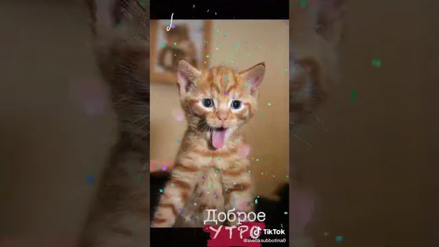 Отправь родному человеку смотреть онлайн