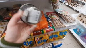 Влог. Покупка крыс. Новые питомцы. Грызуны. Vlog