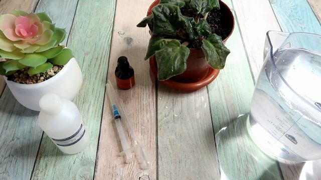 ЙОД и ПЕРЕКИСЬ для фиалки - тайный секрет моей соседки смотреть онлайн