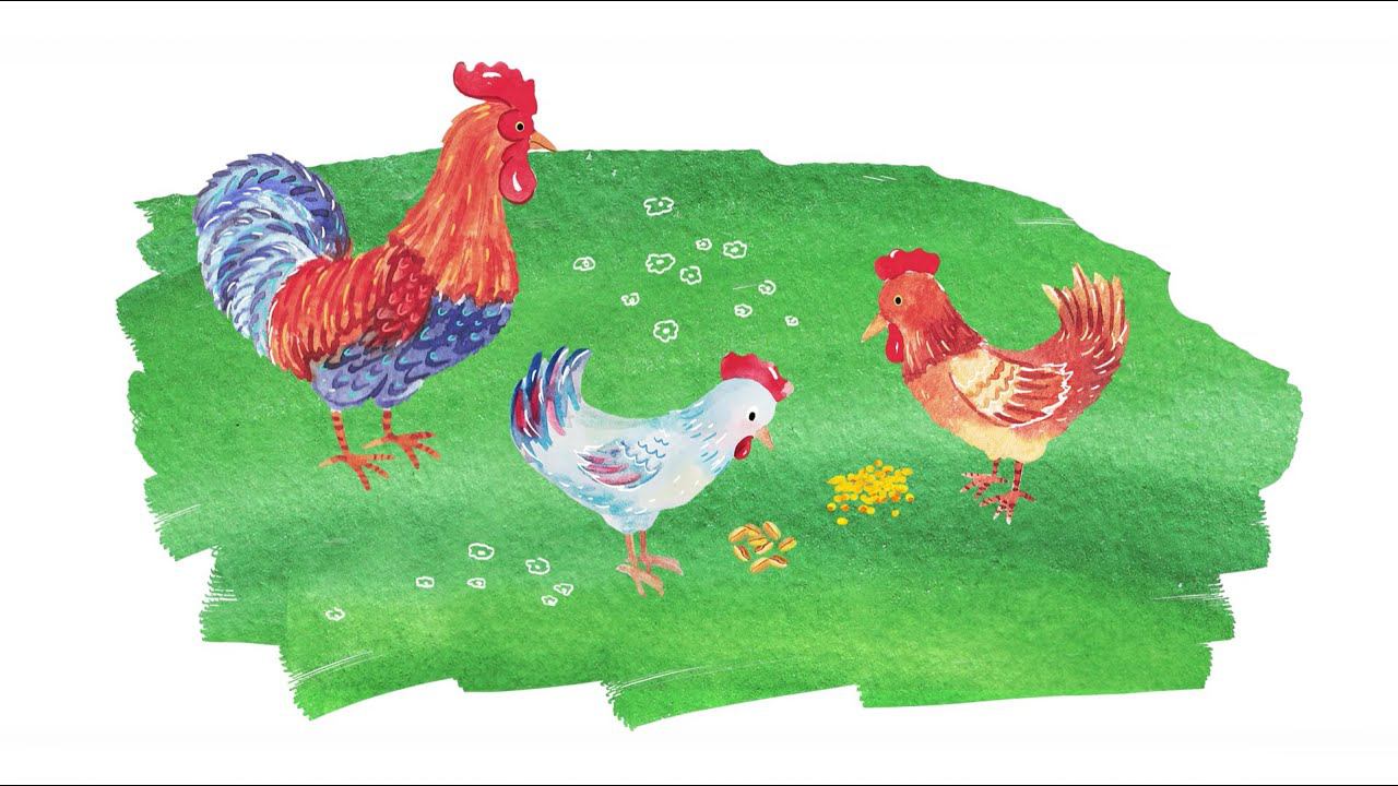 25.1. Чем полезны растения для человека смотреть онлайн