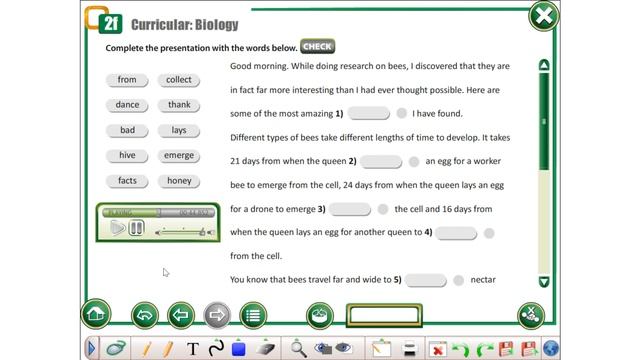 Action. Grade 11. Module 2. The animal world. Bees and their world. Ex 5 p 31 смотреть онлайн