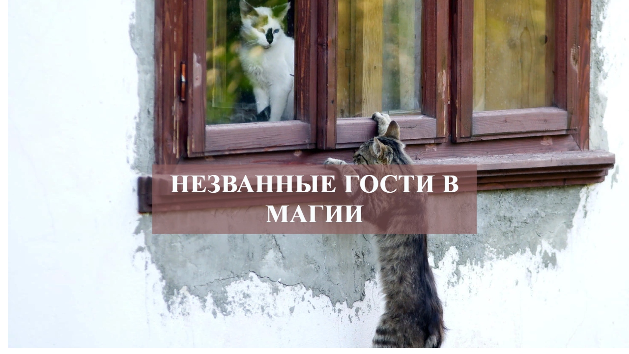 НЕЗВАННЫЕ ГОСТИ В МАГИИ.mp4 смотреть онлайн