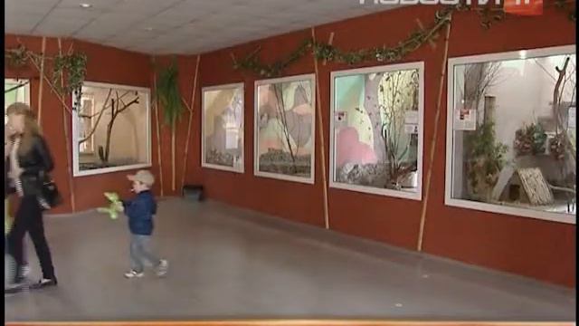 Фенеки онлайн смотреть онлайн