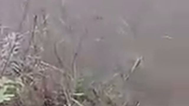 water levvel onthe tank смотреть онлайн