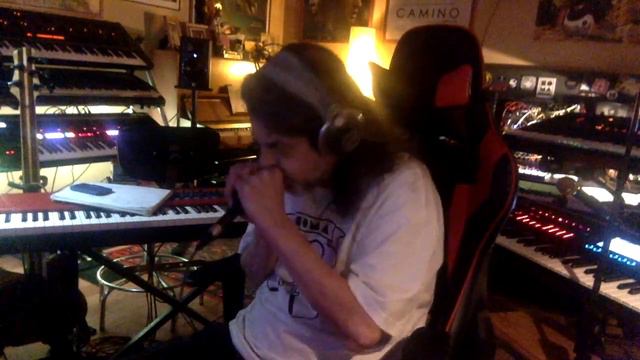 COSMIC BLUES HARMONICA blues harp #anakoreta смотреть онлайн