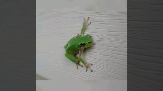 14 Interesting Facts About Animals