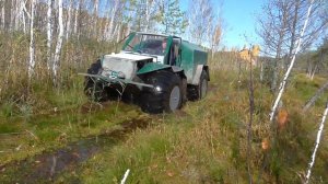 вездеход Пассо, болото