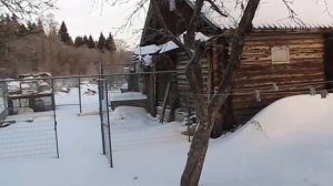 ТЕПЛО В КУРЯТНИКЕ. Способы обогрева в зимний период. Особенности содержания несушек зимой.