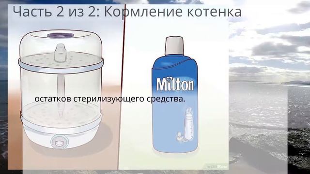 Как выкормить новорожденного котенка смотреть онлайн