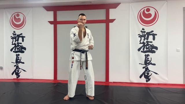 Кихон ката на 10 кю