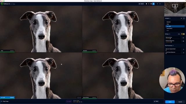 The Best Way to Use Topaz for Sharpening and Noise Reduction смотреть онлайн