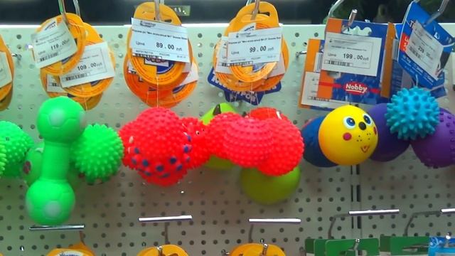 Готовимся к появлению щенка. Едем в Зоомагазин. Что нужно для собаки. Игрушки и Покупки для собачки смотреть онлайн