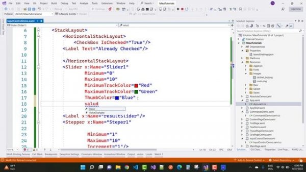 .NET Maui Input Controls with Examples