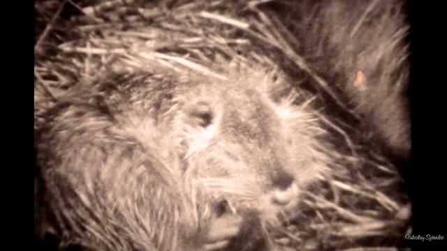 Это было в прошлом веке . Фильм 8 . смотреть онлайн