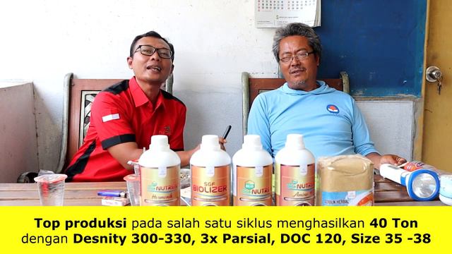 Fantastis!! TOP PRODUKSI 40 Ton dengan SOP NELINDO - Tambak Pak Anam смотреть онлайн