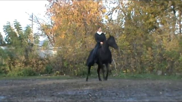freestyle Разбойница и Татьяна Плакса (Razboinica and Tatiana Plaksa) смотреть онлайн